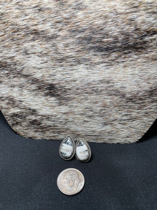White Buffalo studs