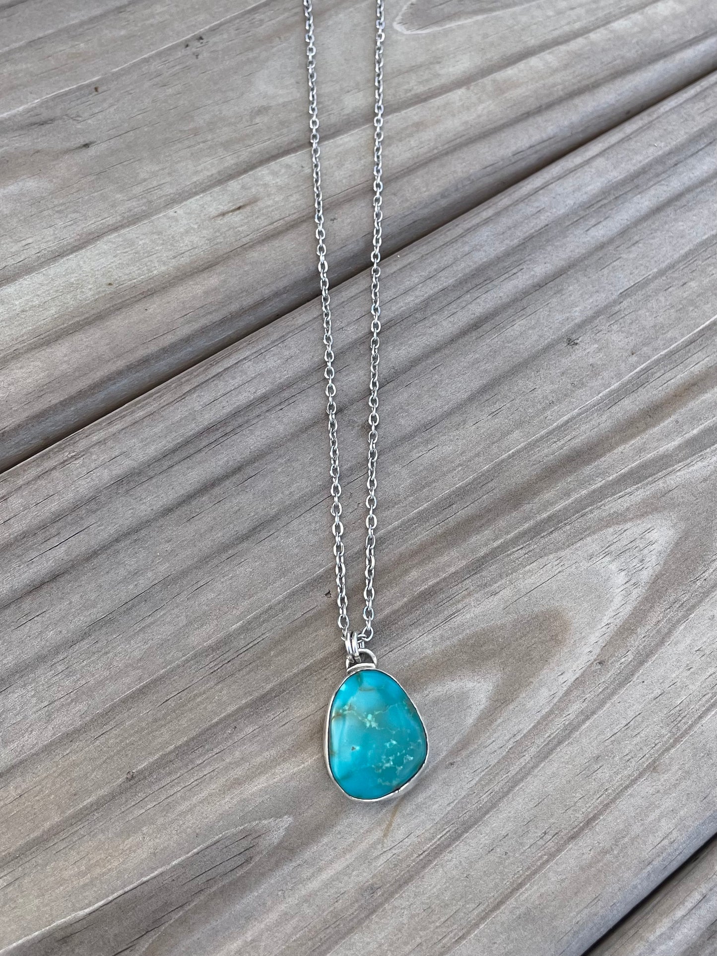 Sonoran pendant on 18 inch chain