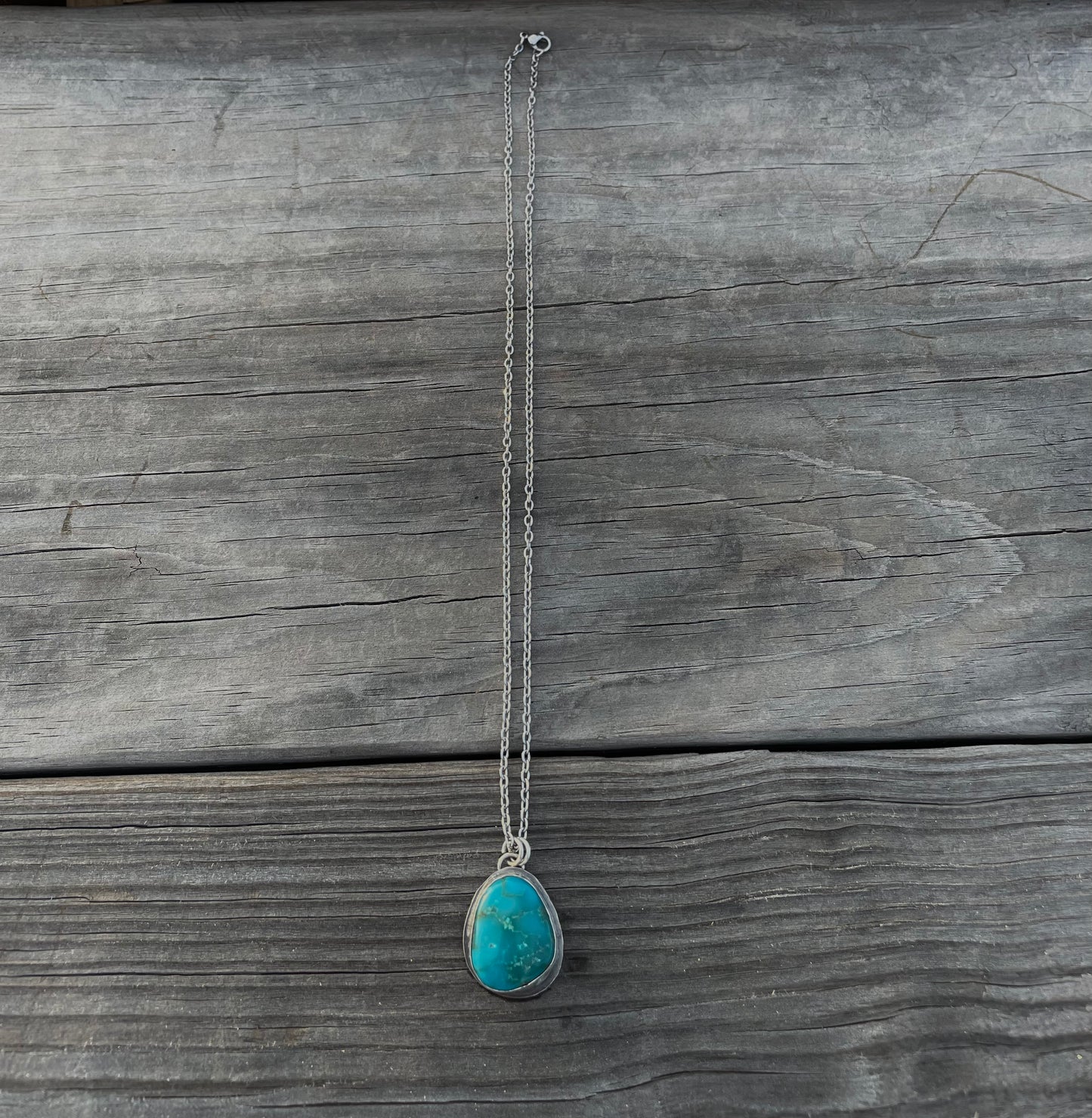 Sonoran pendant on 18 inch chain