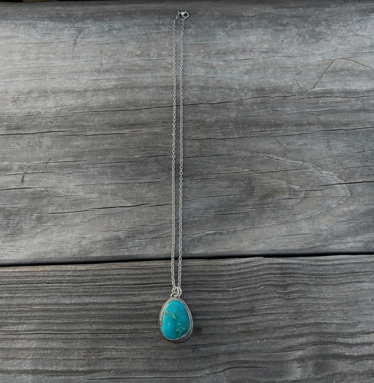 Sonoran pendant on 18 inch chain